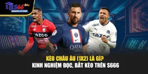 Kèo Châu Âu (1X2) Là Gì? Kinh Nghiệm Đọc, Bắt Kèo Trên S666
