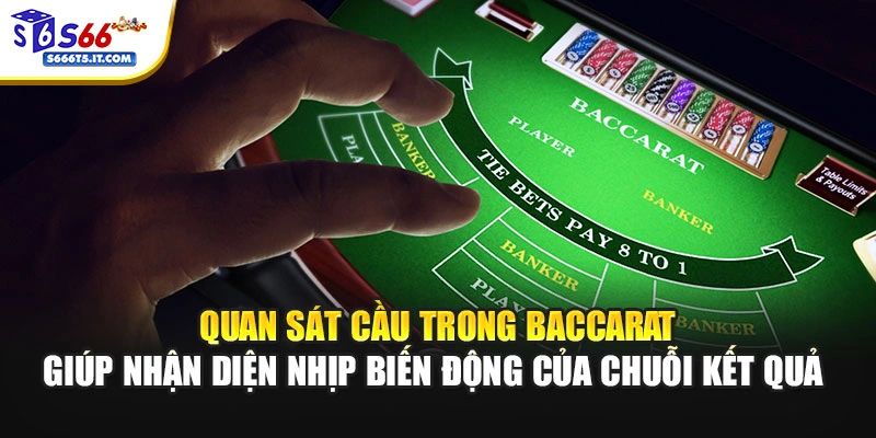 Quan sát cầu Baccarat giúp nhận diện nhịp biến động